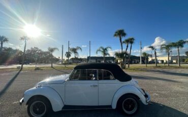 Unknown-Super-beetle-1971-White-11