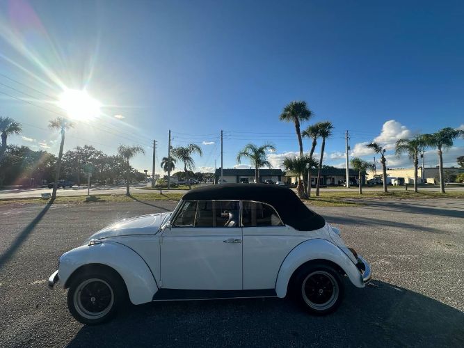 Unknown-Super-beetle-1971-White-11