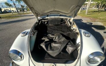Unknown-Super-beetle-1971-White-14