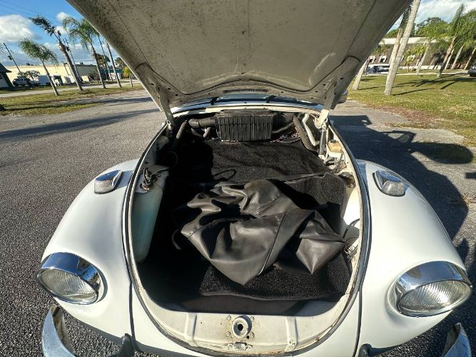 Unknown-Super-beetle-1971-White-14