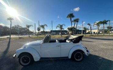 Unknown-Super-beetle-1971-White-16