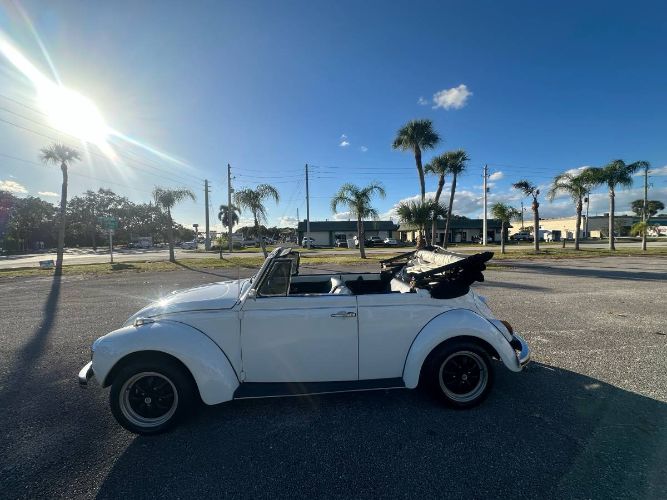 Unknown-Super-beetle-1971-White-16