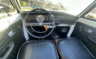 Unknown-Super-beetle-1971-White-18