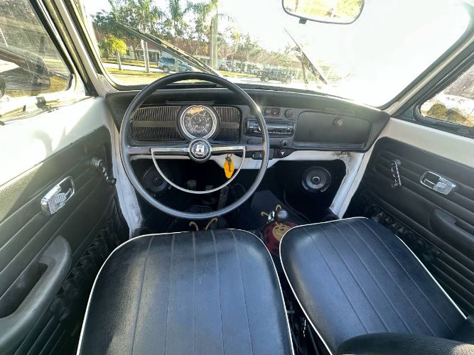 Unknown-Super-beetle-1971-White-18