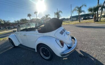 Unknown-Super-beetle-1971-White-20