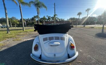 Unknown-Super-beetle-1971-White-21