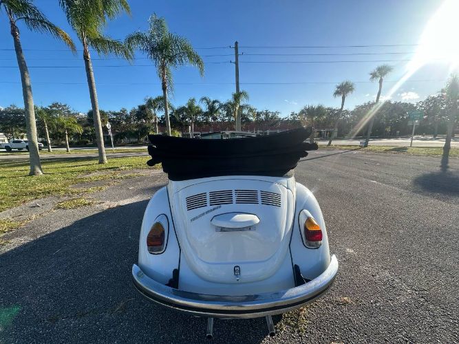 Unknown-Super-beetle-1971-White-21
