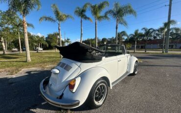 Unknown-Super-beetle-1971-White-22