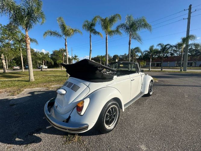 Unknown-Super-beetle-1971-White-22