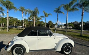 Unknown-Super-beetle-1971-White-3