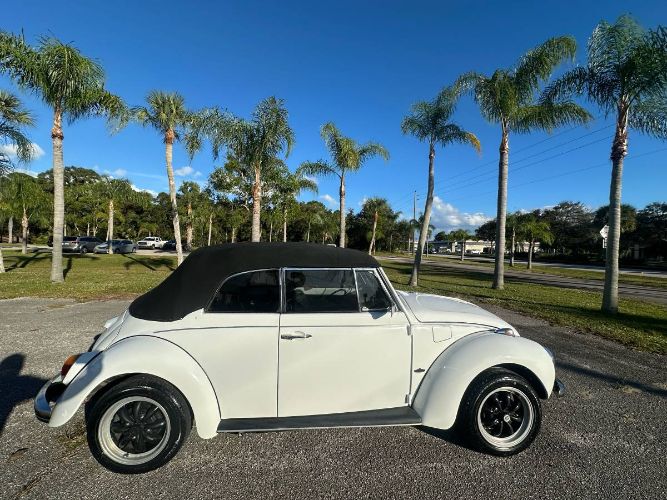 Unknown-Super-beetle-1971-White-3