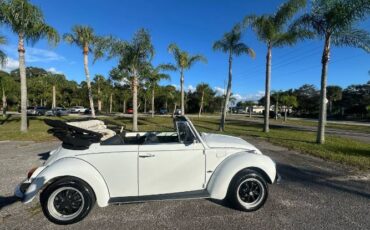 Unknown-Super-beetle-1971-White-5
