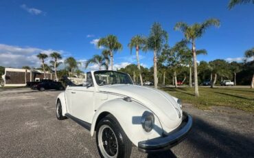 Unknown-Super-beetle-1971-White-6
