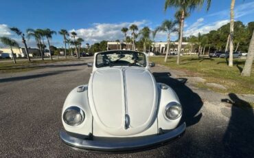 Unknown-Super-beetle-1971-White-7