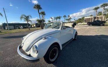 Unknown-Super-beetle-1971-White-8