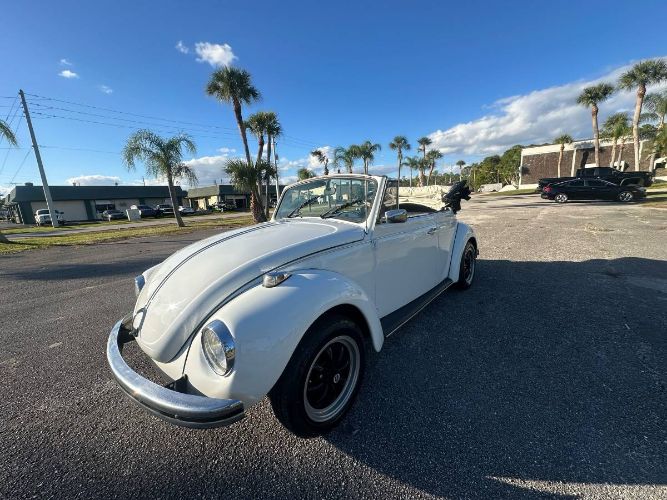 Unknown-Super-beetle-1971-White-8