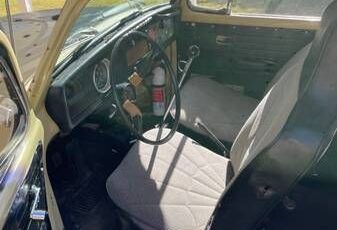 Unknown-Super-beetle-1971-Yellow-Gray-5