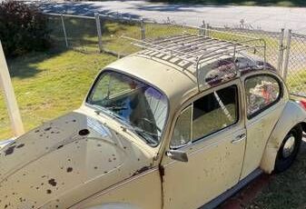 Unknown-Super-beetle-1971-Yellow-Gray-7