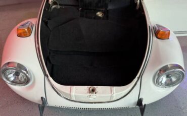 Unknown-Super-beetle-1972-White-Black-1