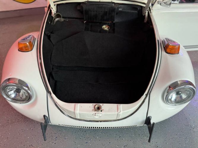 Unknown-Super-beetle-1972-White-Black-1