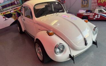 Unknown-Super-beetle-1972-White-Black-12