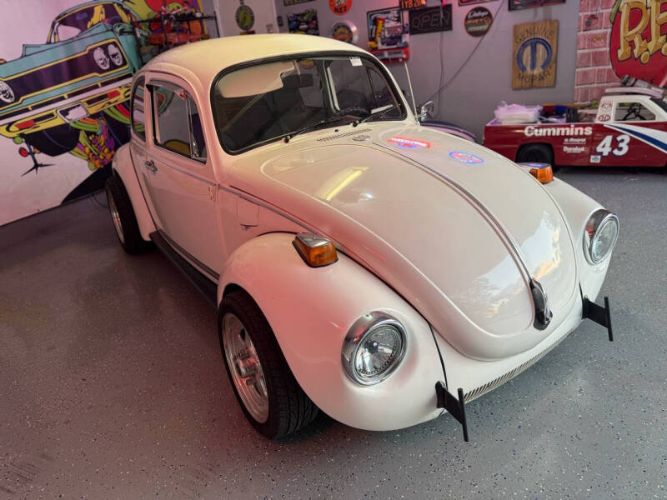 Unknown-Super-beetle-1972-White-Black-12