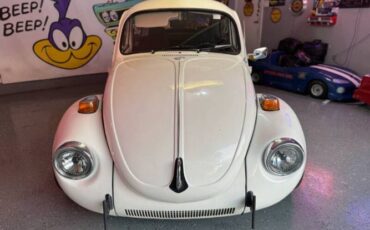 Unknown-Super-beetle-1972-White-Black-13