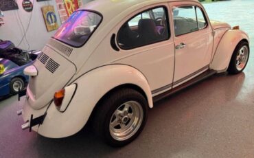 Unknown-Super-beetle-1972-White-Black-14