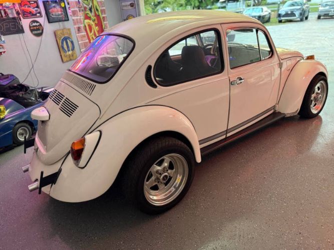 Unknown-Super-beetle-1972-White-Black-14