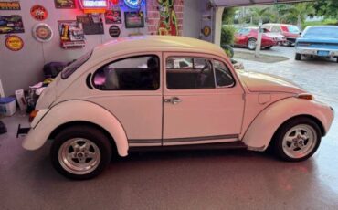 Unknown-Super-beetle-1972-White-Black-15
