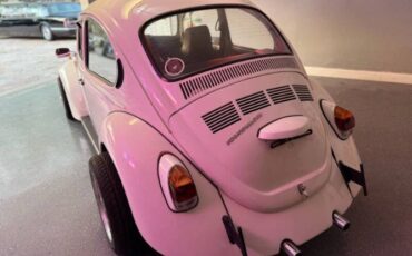 Unknown-Super-beetle-1972-White-Black-16