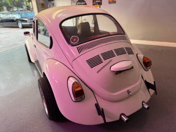 Unknown-Super-beetle-1972-White-Black-16