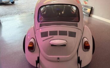 Unknown-Super-beetle-1972-White-Black-17