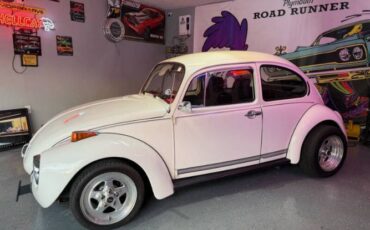 Unknown-Super-beetle-1972-White-Black-18