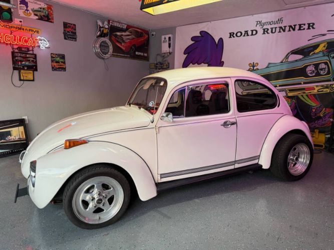 Unknown-Super-beetle-1972-White-Black-18