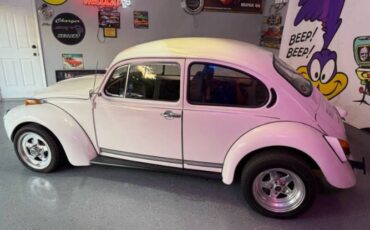 Unknown-Super-beetle-1972-White-Black-19