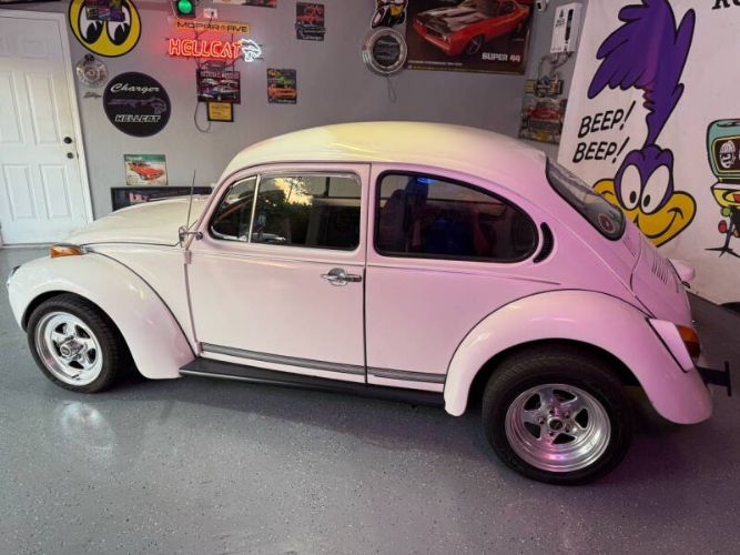 Unknown-Super-beetle-1972-White-Black-19