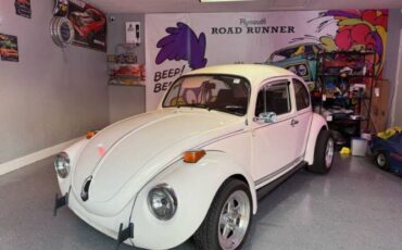 Unknown-Super-beetle-1972-White-Black