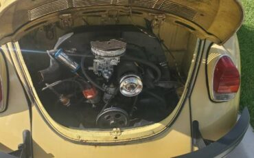 Unknown-Super-beetle-1972-Yellow-8