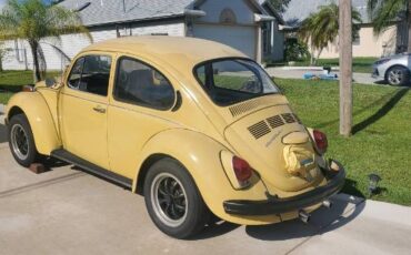 Unknown-Super-beetle-1972-Yellow-9