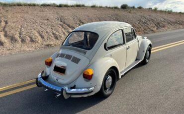 Unknown-Super-beetle-1973-11