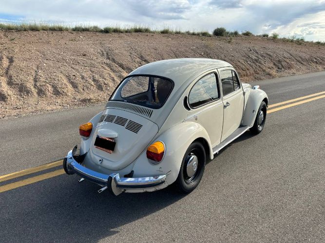 Unknown-Super-beetle-1973-11