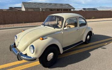 Unknown-Super-beetle-1973-13