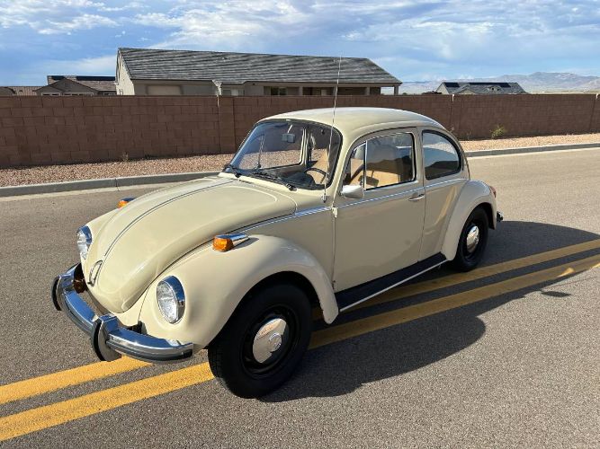 Unknown-Super-beetle-1973-13