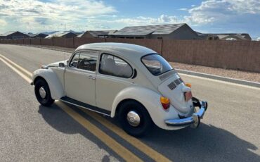 Unknown-Super-beetle-1973-5
