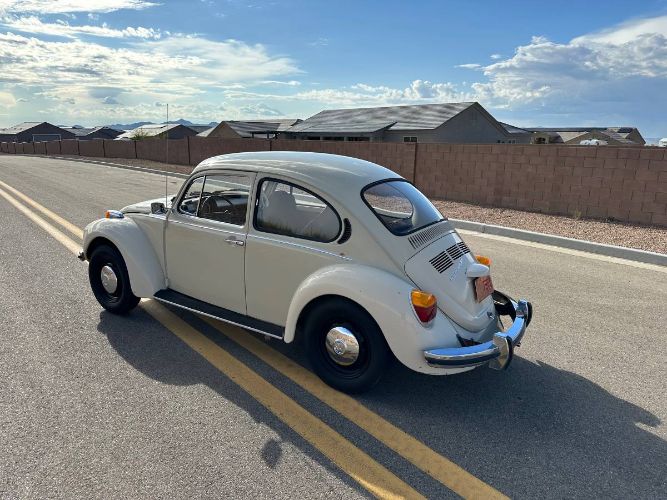 Unknown-Super-beetle-1973-5