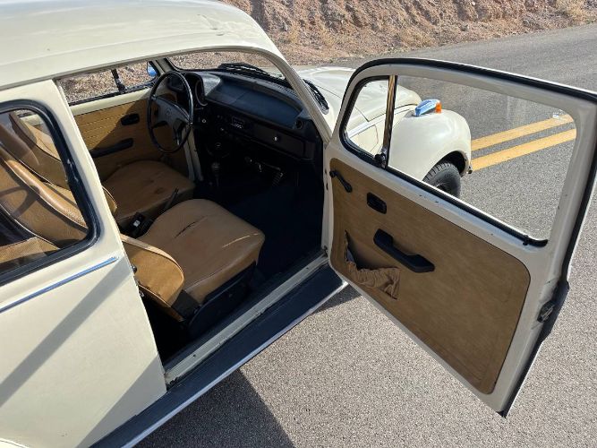 Unknown-Super-beetle-1973-7