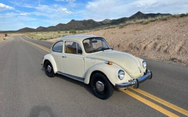 Unknown-Super-beetle-1973-9