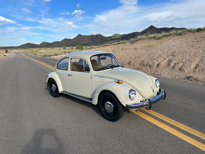 Unknown-Super-beetle-1973-9