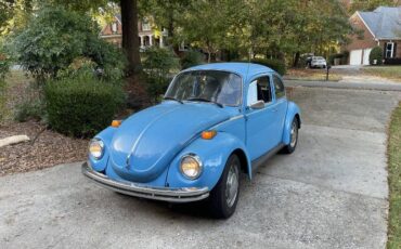 Unknown-Super-beetle-1973-Blue